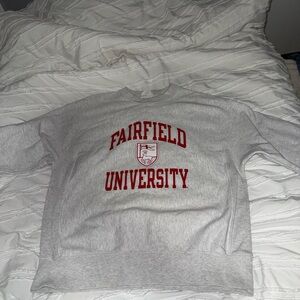 Champion Gray Reverse Weave Sweatshirt